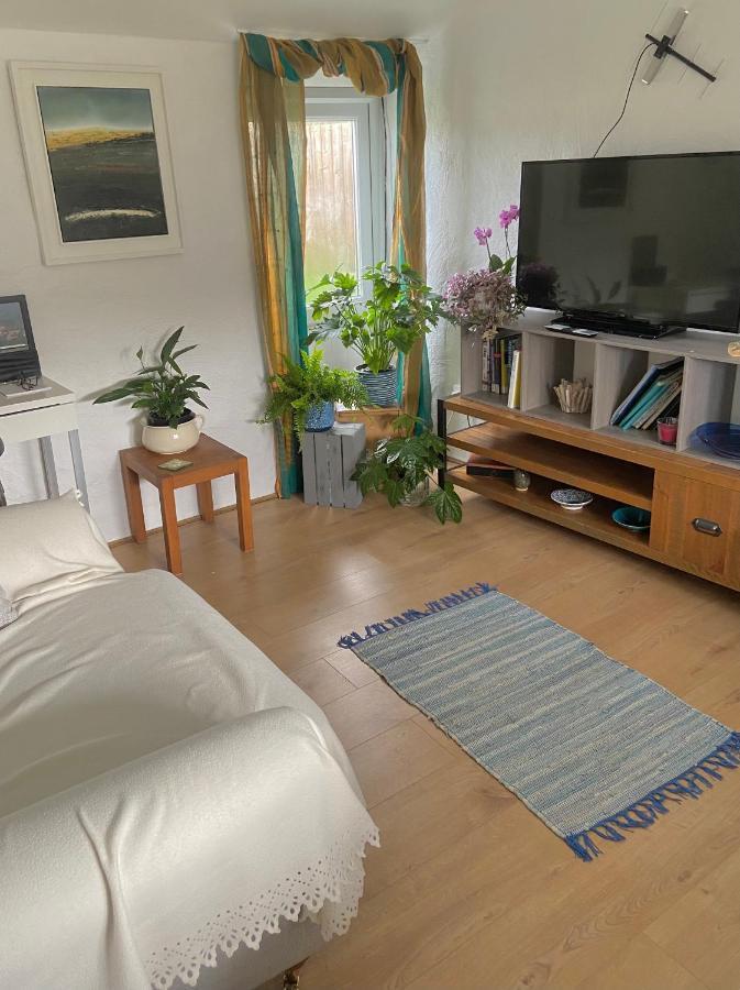 Idyllic Cornish Cottage, Superking Bed, Private Garden Dogs Welcome ทรูโร ภายนอก รูปภาพ