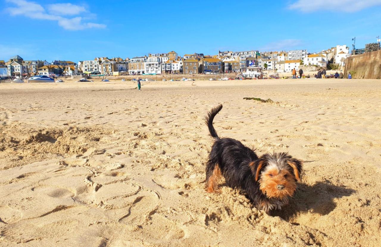 Idyllic Cornish Cottage, Superking Bed, Private Garden Dogs Welcome ทรูโร ภายนอก รูปภาพ
